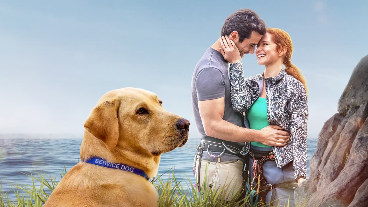 Backdrop – Guiding Emily