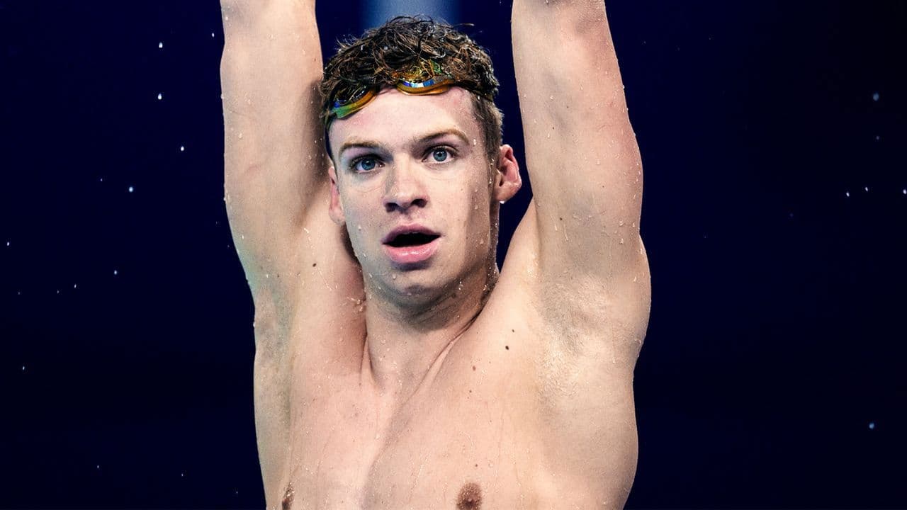 Backdrop – Libre comme Léon