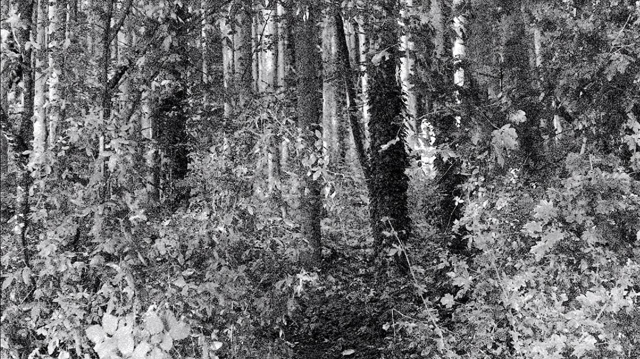 Backdrop – La Capsule