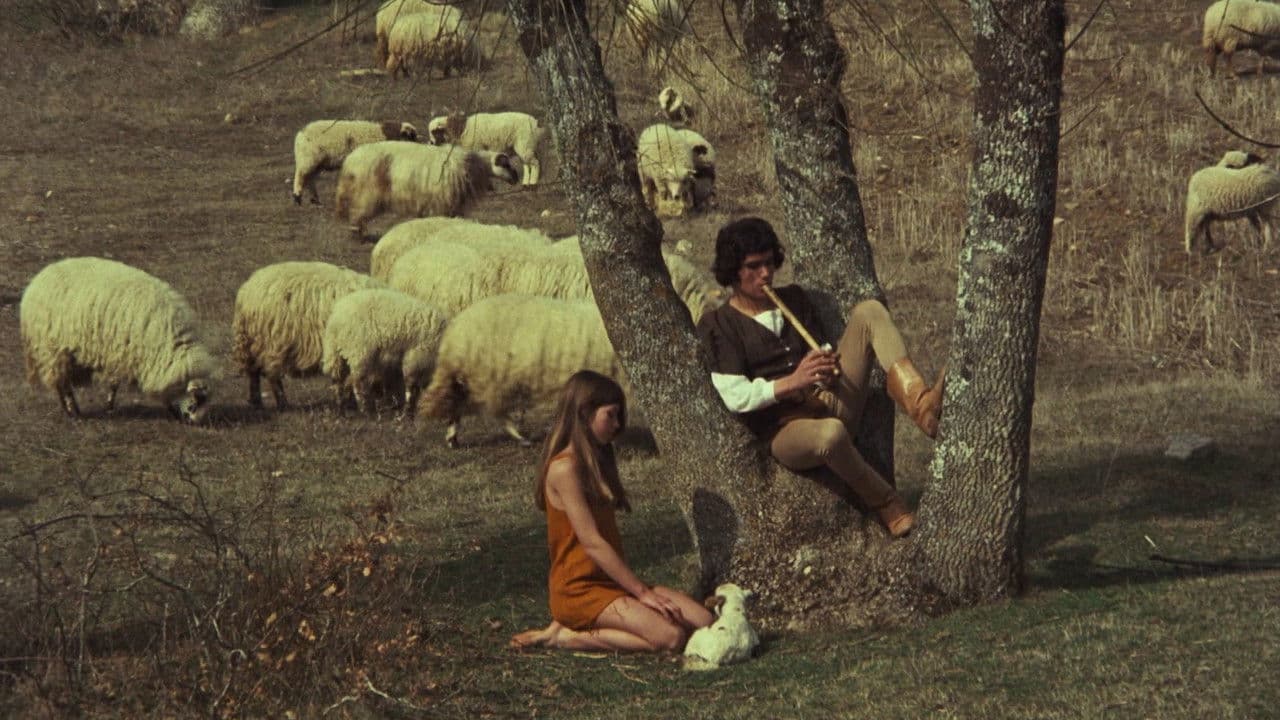 Backdrop – Veredas