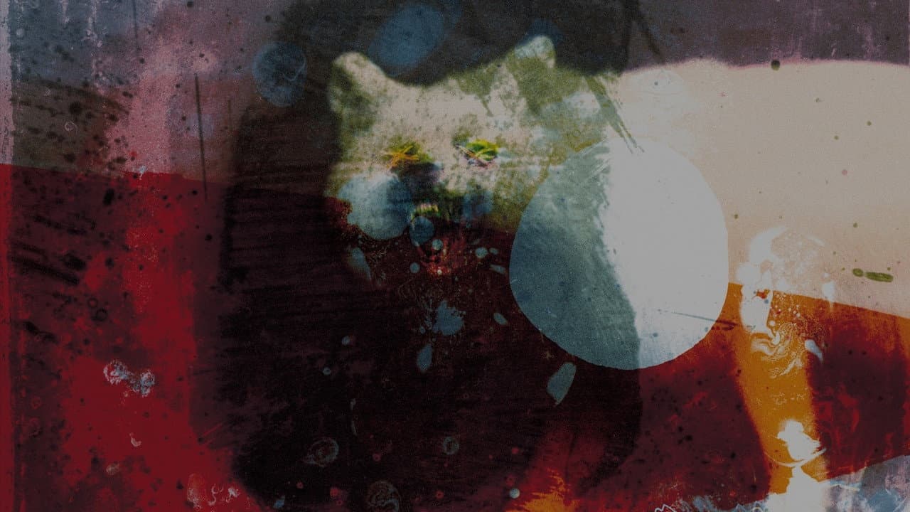 Backdrop – Mogwai: As the Love Continues
