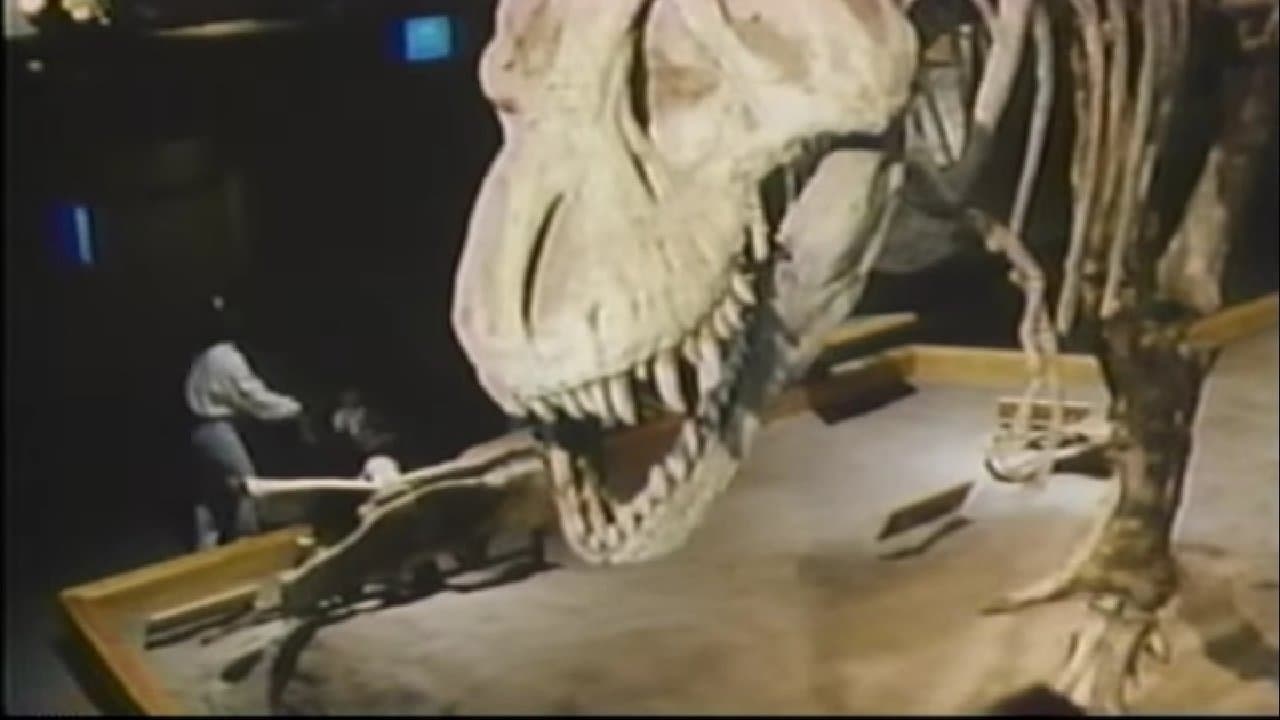 Backdrop – The Real Jurassic Park