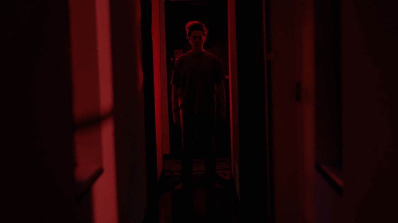 Backdrop – Zero Avenue