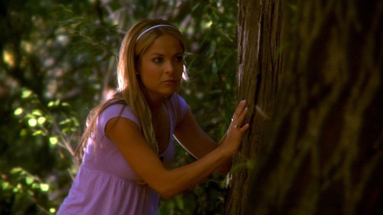 Backdrop – The Commune