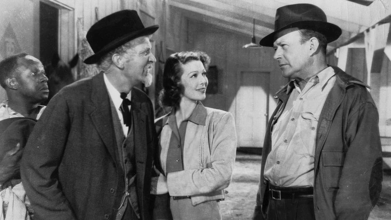 Backdrop – Die goldene Peitsche