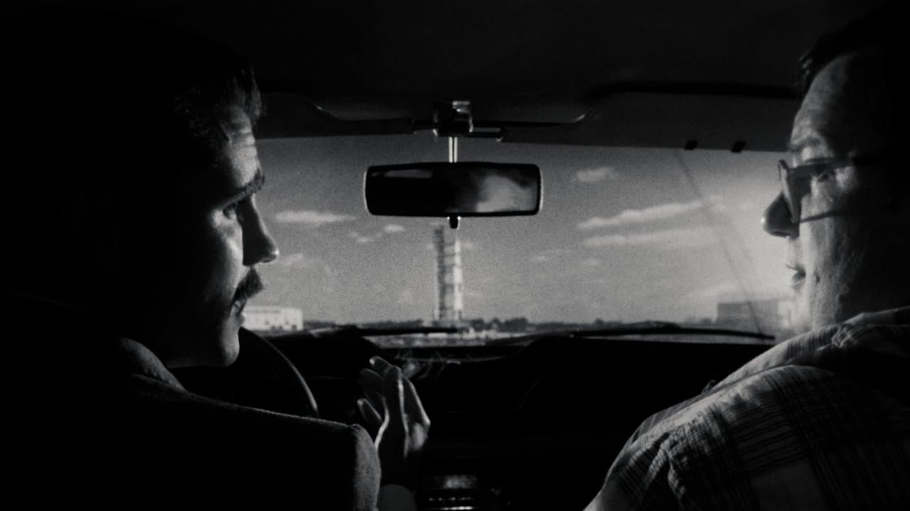 Backdrop – Splashback