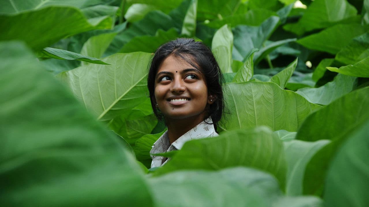 Backdrop – கயல்