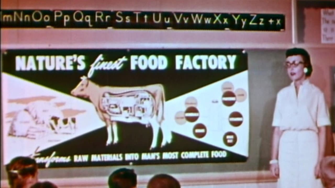 Backdrop – My Milkman, Joe