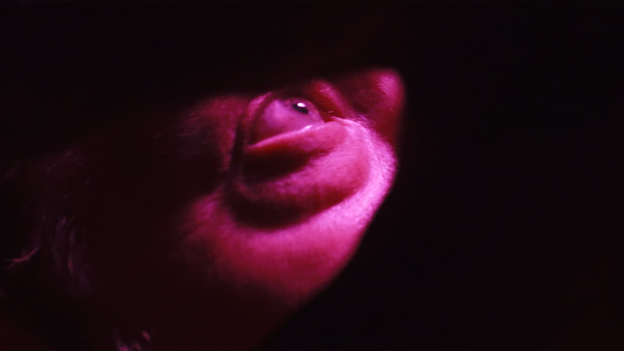 Backdrop – The Program