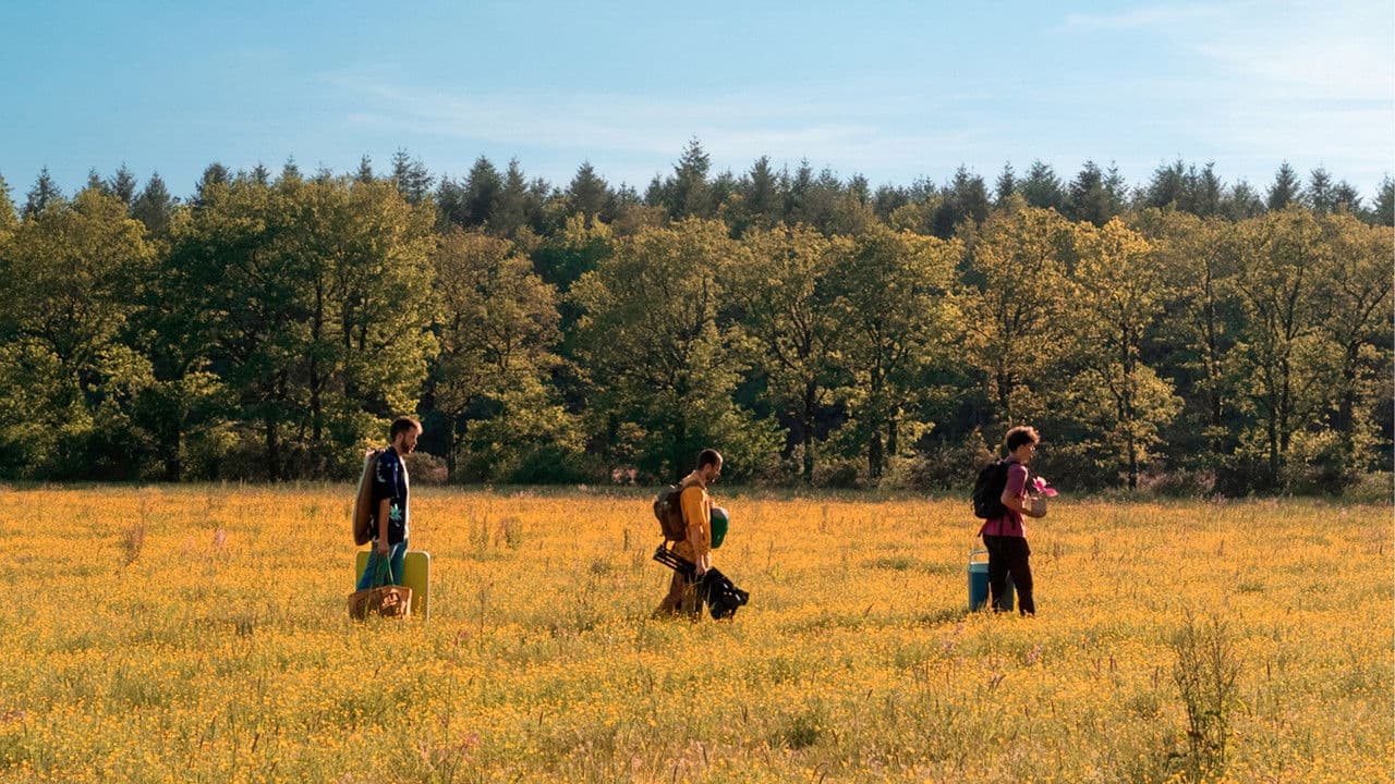 Backdrop – Ciel rose