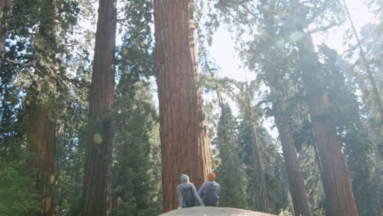 Backdrop – Dear Luke, Love, Me