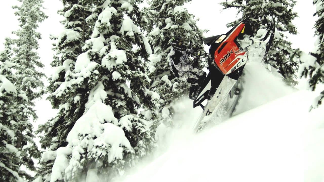 Backdrop – 509 Films: Volume 6