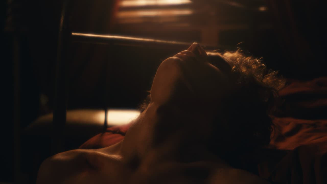 Backdrop – O Compositor