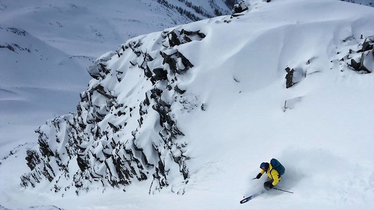 Backdrop – Finding the Line