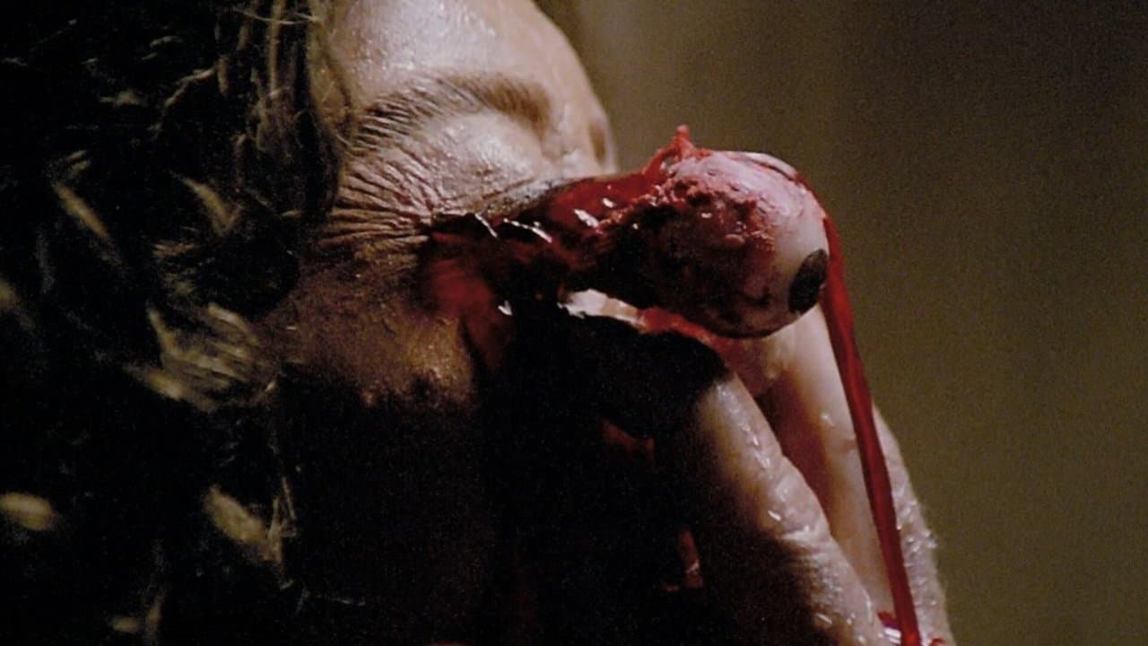 Backdrop – Die Geisterstadt der Zombies