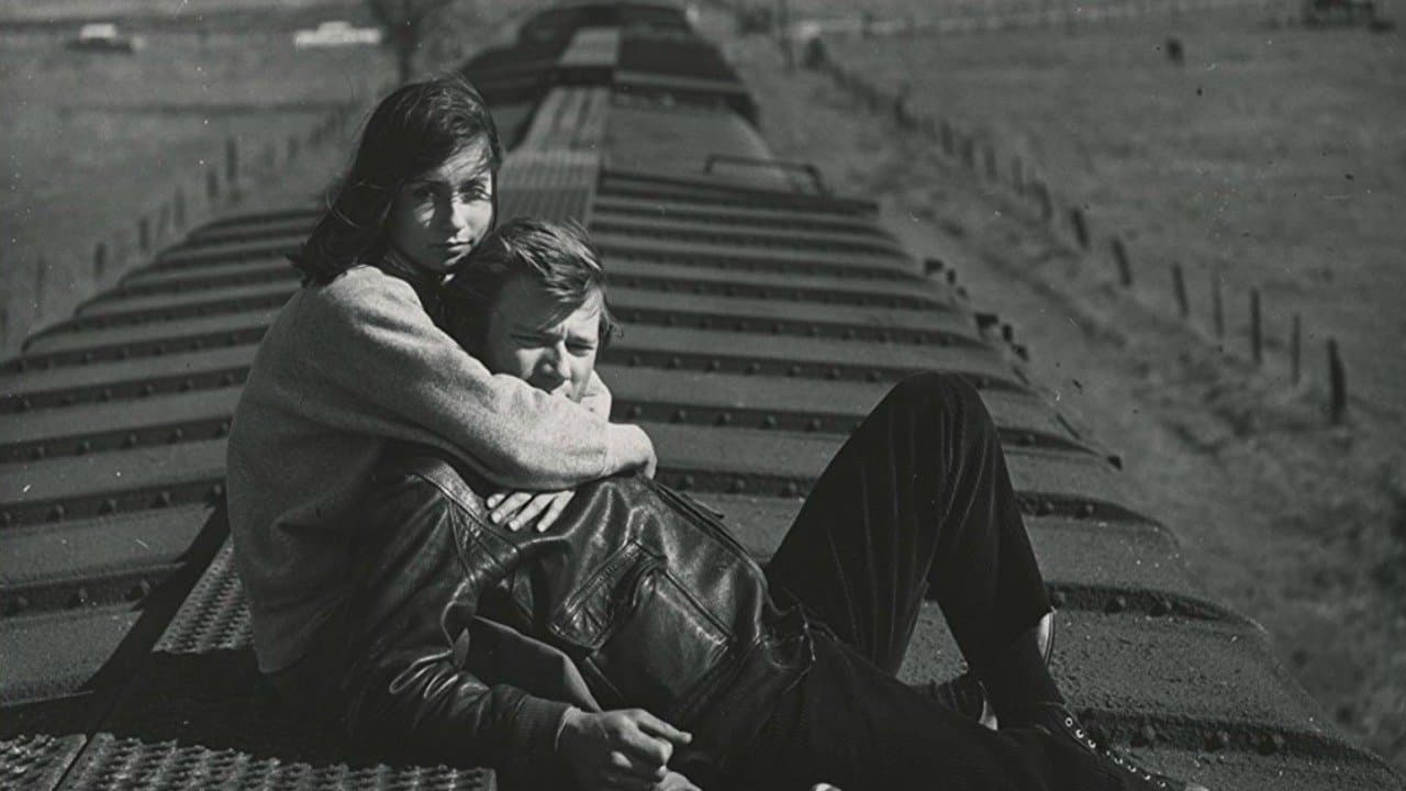 Backdrop – Wild Seed