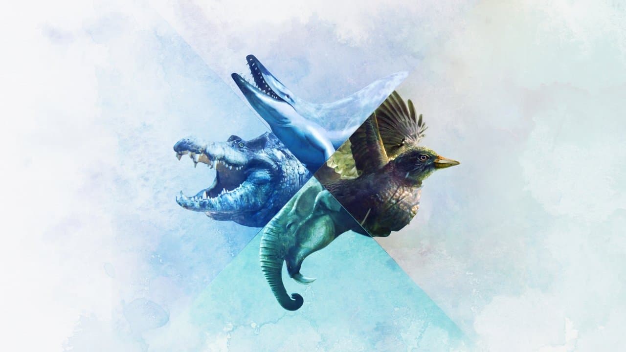 Backdrop – When Whales Walked: Journeys in Deep Time