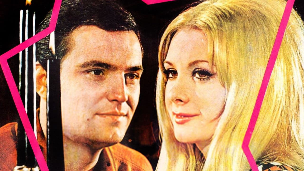 Backdrop – Sabah Yıldızı