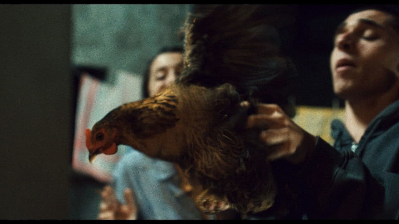 Backdrop – Laissez-moi danser