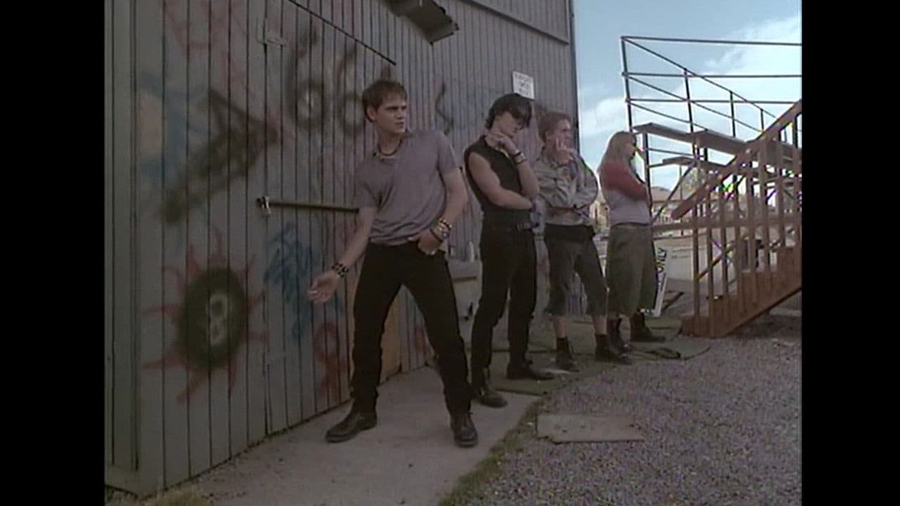 Backdrop – Black Circle Boys