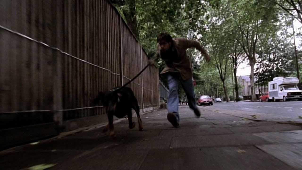 Backdrop – My Wrongs #8245–8249 & 117