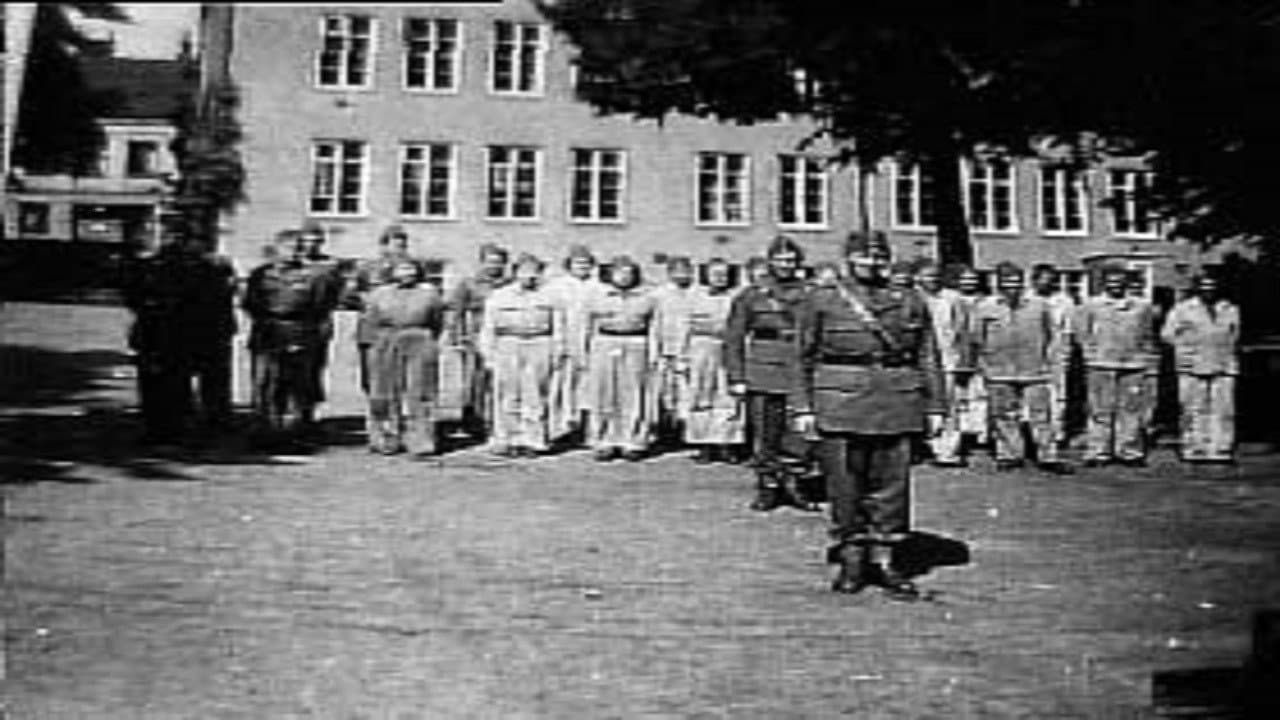 Backdrop – Förintelsens beska efterbörd - Röda Korset och svensk hjälpverksamhet 1945-1947