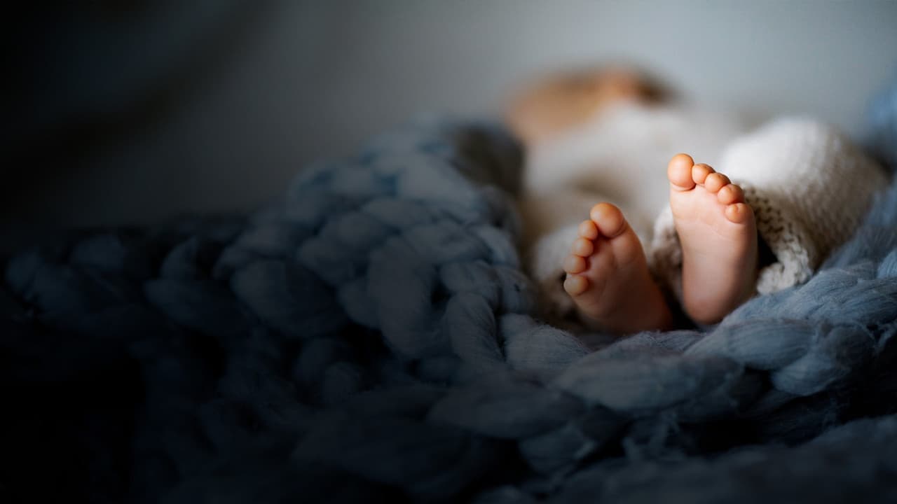 Backdrop – Les Premiers 1000 Jours