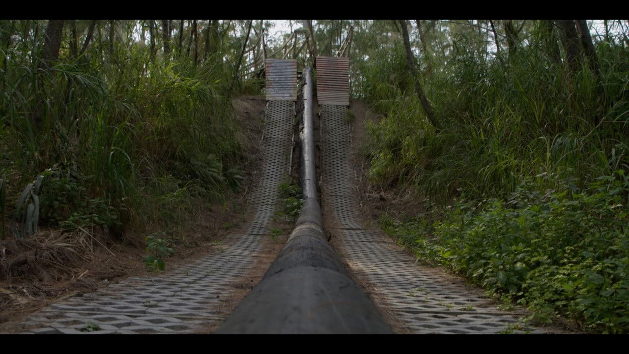 Backdrop – Dirt Therapy