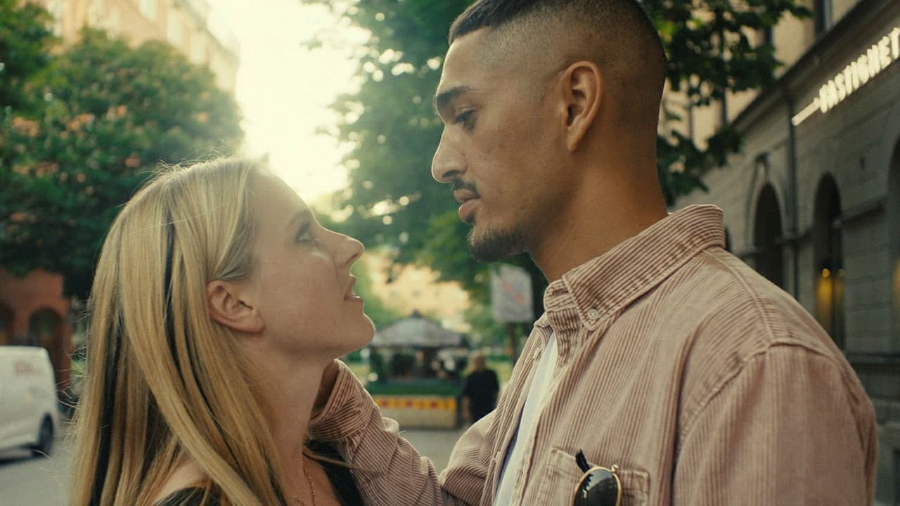 Backdrop – Stammisar