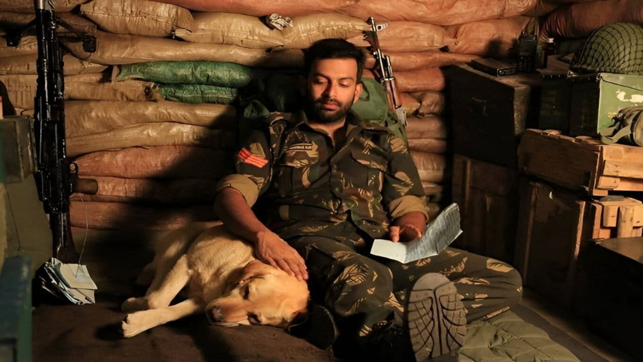 Backdrop – പിക്കറ്റ് 43