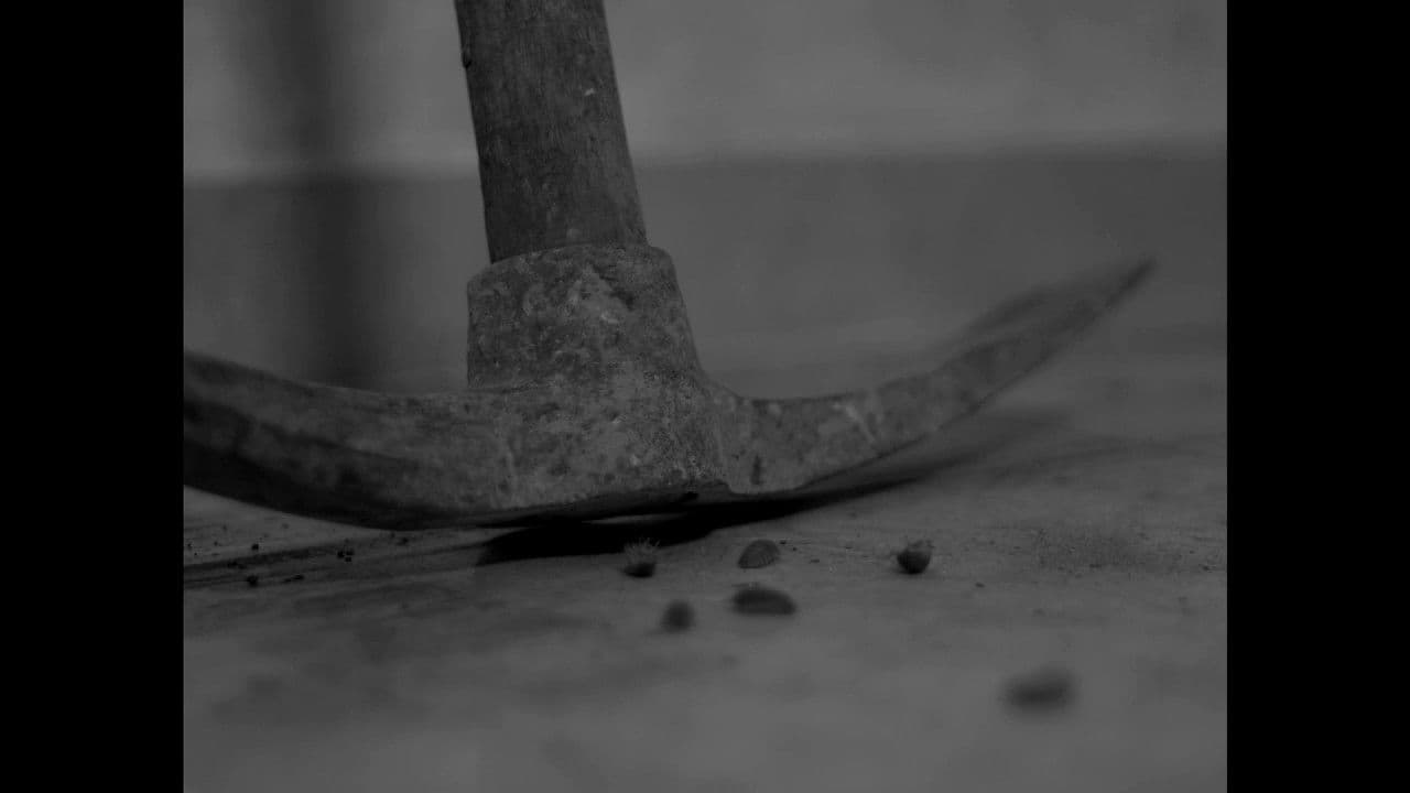 Backdrop – Anhedonia