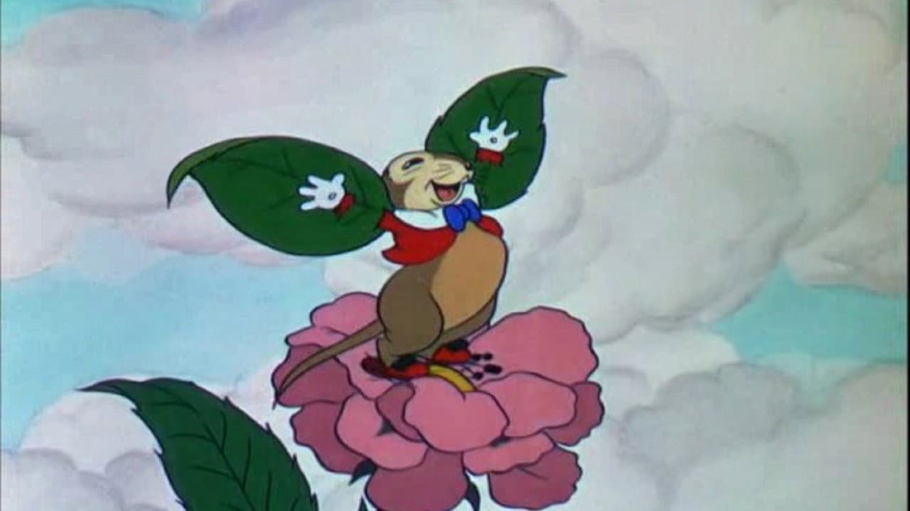 Backdrop – Die fliegende Maus