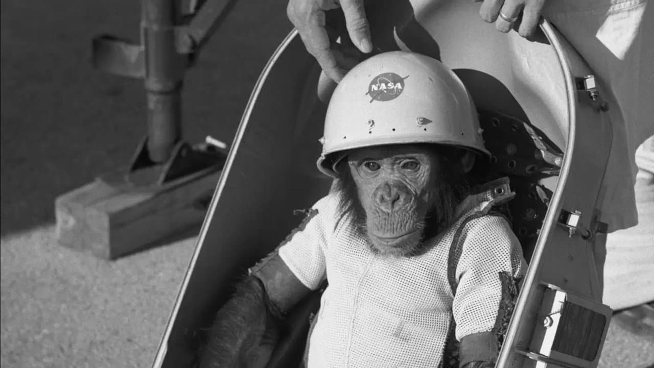 Backdrop – One Small Step: The Story of the Space Chimps