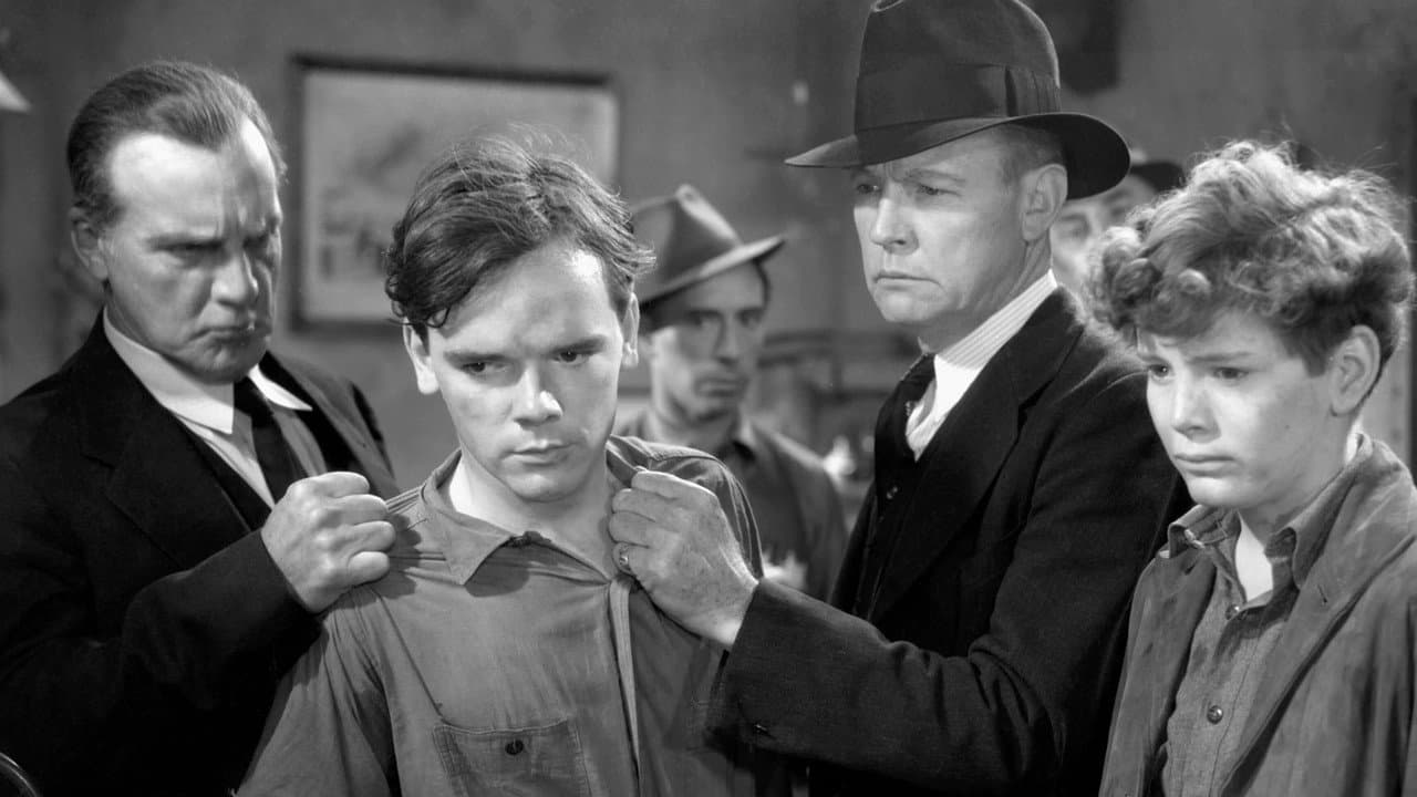 Backdrop – Boy Slaves