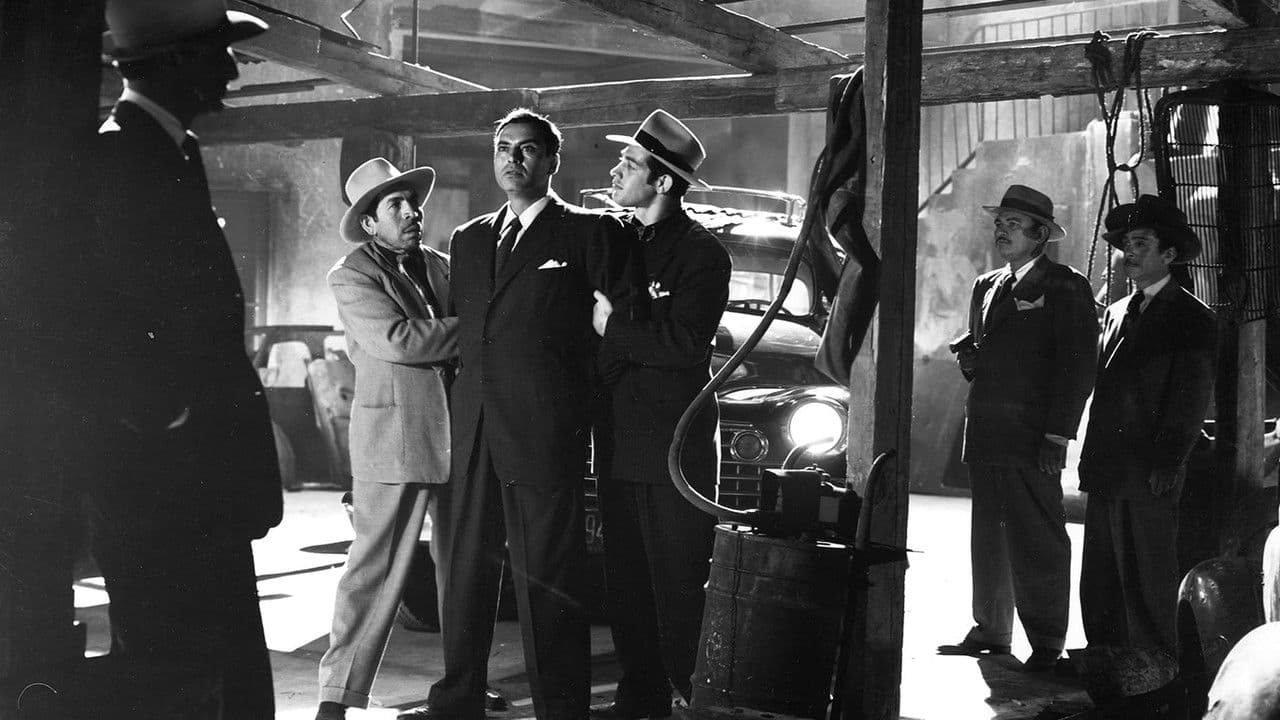 Backdrop – Die Nacht bricht herein