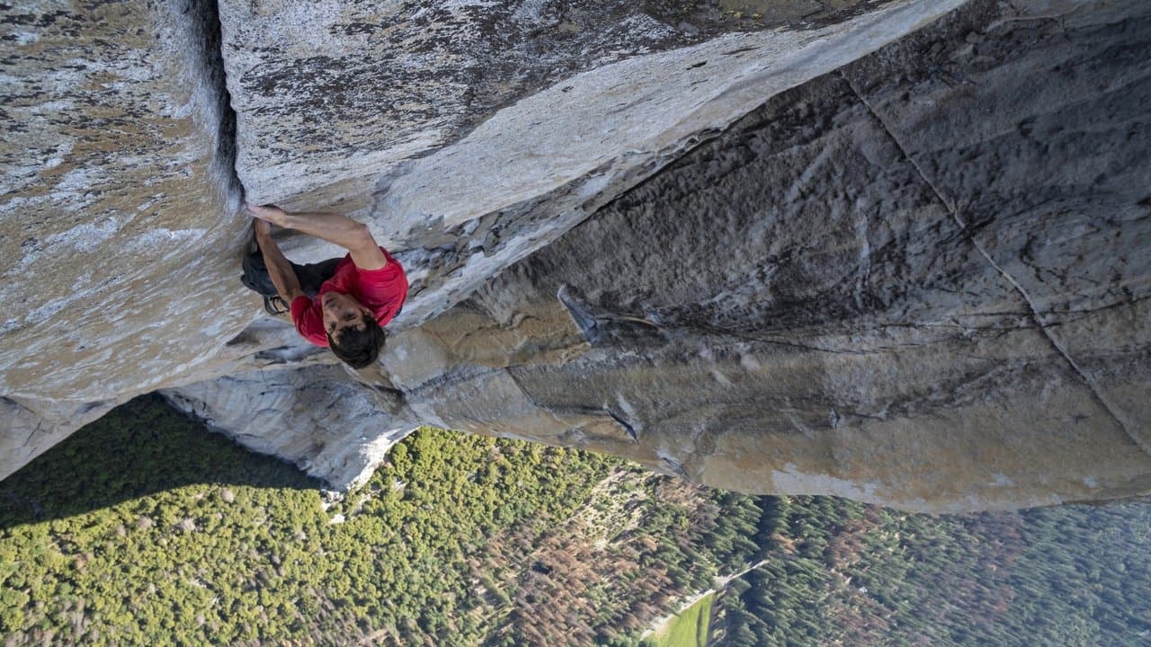 Backdrop – Free Solo