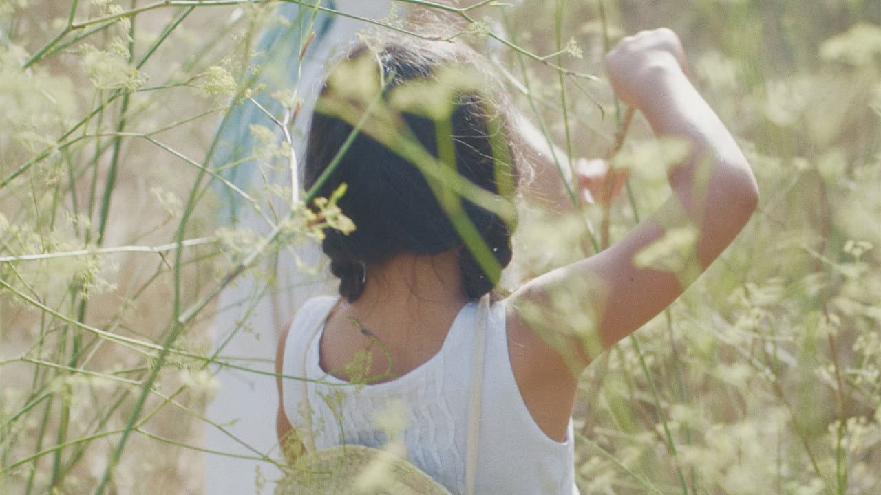 Backdrop – Judit