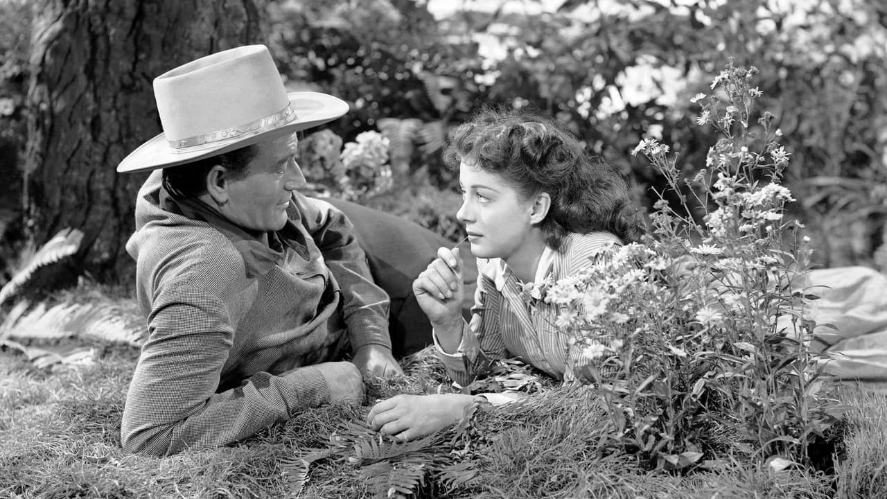 Backdrop – Der schwarze Reiter