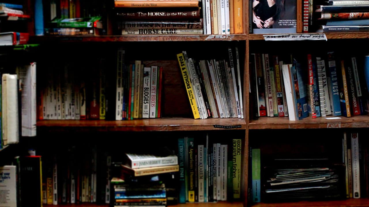 Backdrop – Dirty Sex Tactics