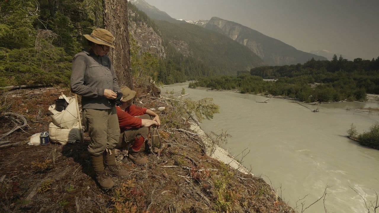 Backdrop – The Mystery Mountain Project