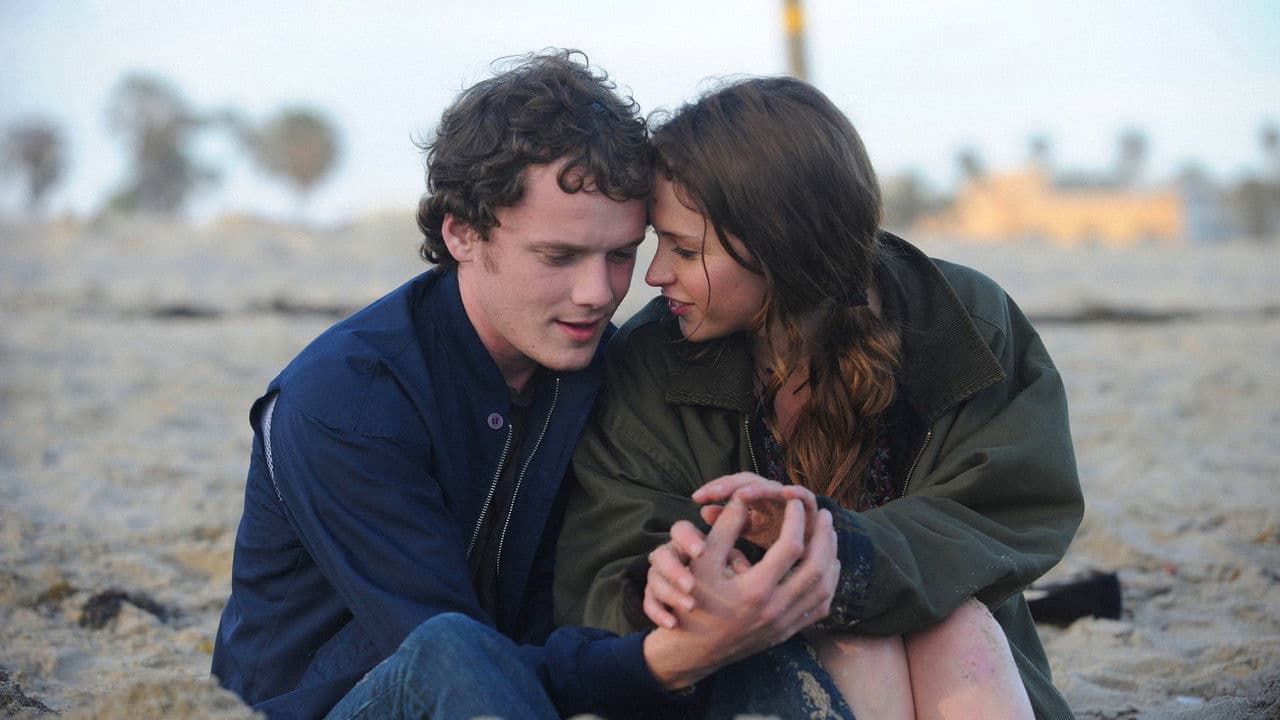 Backdrop – Like Crazy