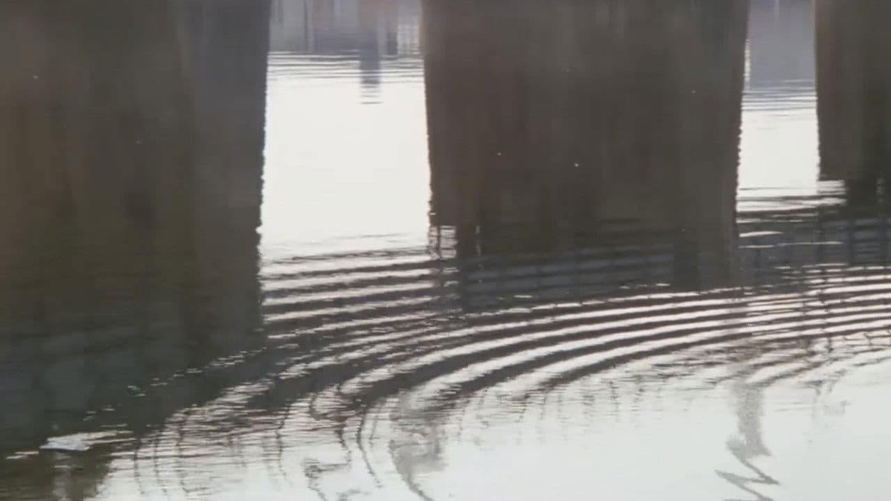 Backdrop – 銀座ネオン街　女の絶頂