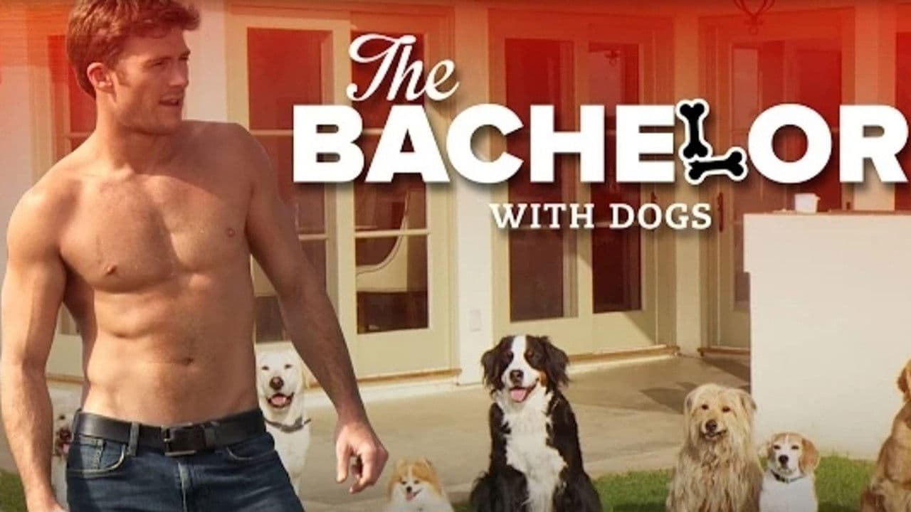 Backdrop – The Bachelor with Dogs and Scott Eastwood