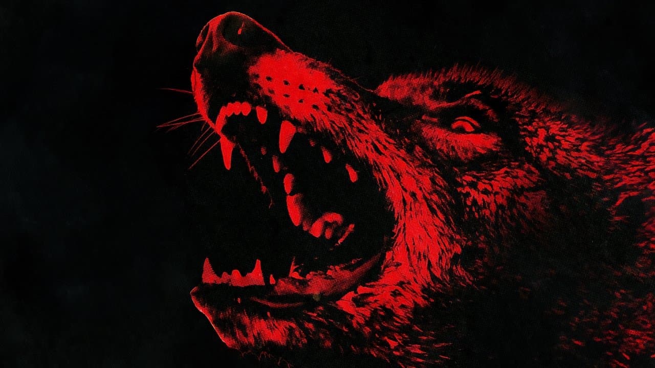 Backdrop – Coyotes