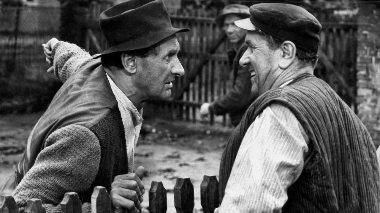 Backdrop – Sami swoi