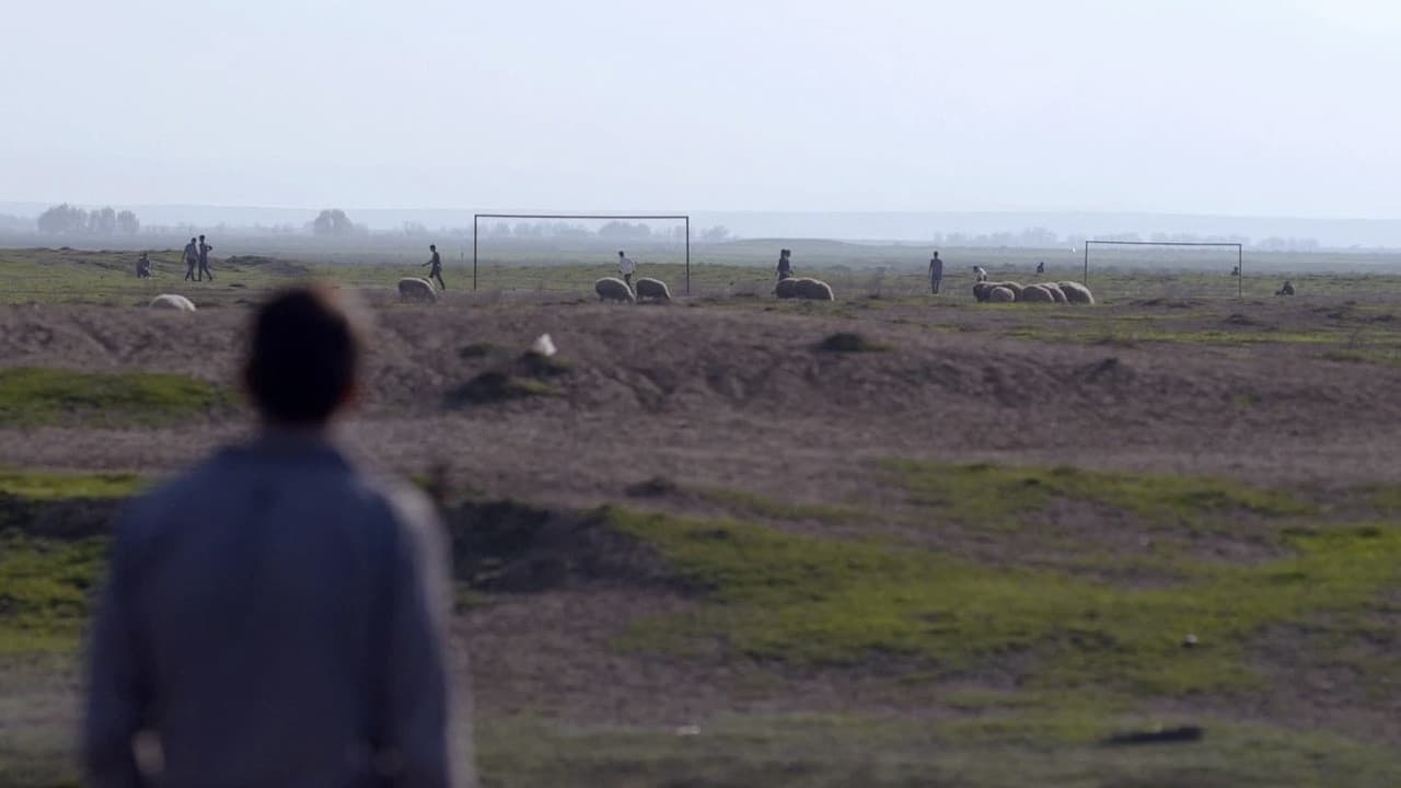 Backdrop – Qaranlıqdan reportaj