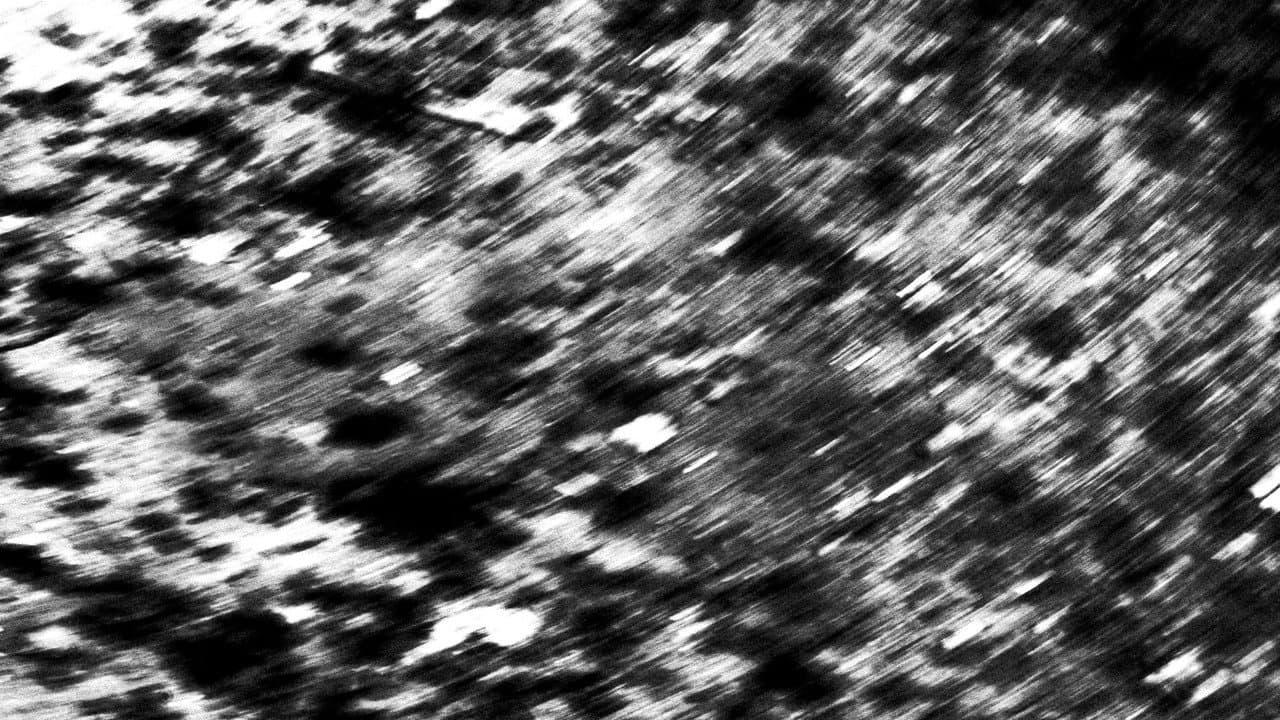 Backdrop – Basura