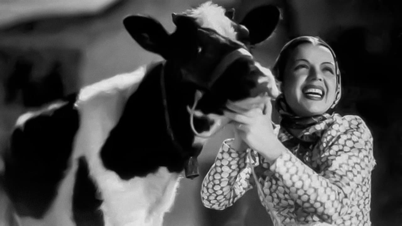 Backdrop – Aldeia da Roupa Branca