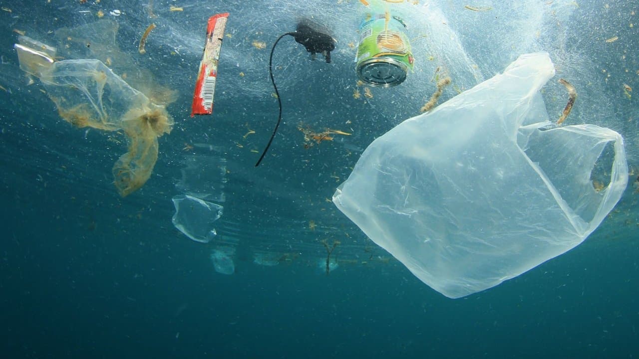 Backdrop – A Plastic Ocean