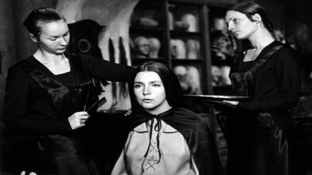Backdrop – Dary magów